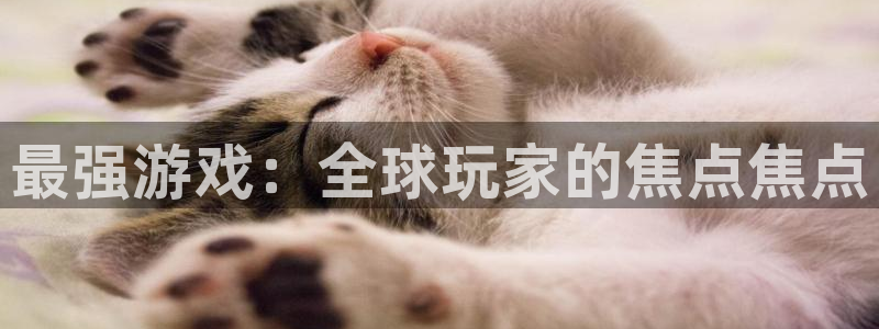 杏运娱乐：最强游戏：全球玩家的焦点焦点