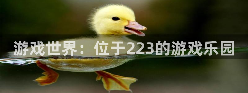 杏运娱乐注册账号入口在哪里