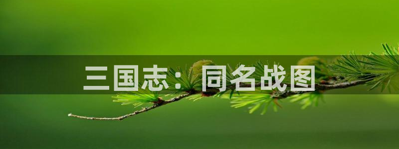 杏运体育官方网址