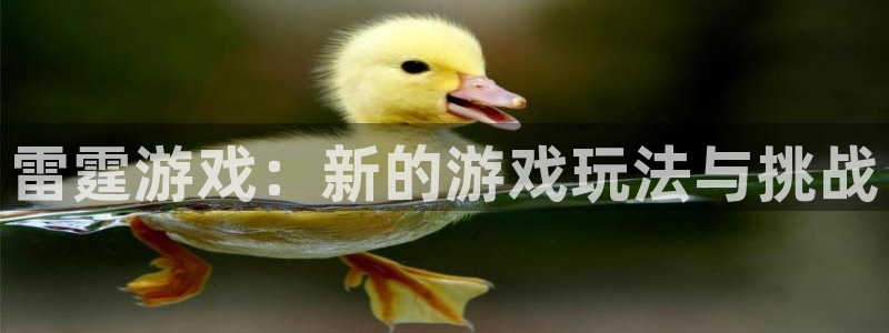 杏运体育：雷霆游戏：新的游戏玩法与挑战