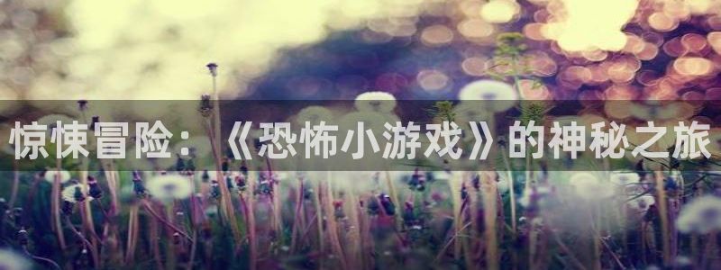 杏运电影免费观看