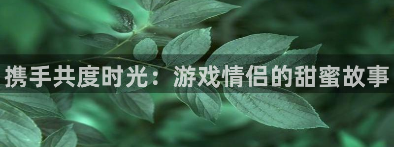 杏运娱乐注册流程：携手共度时光：游戏情侣的甜蜜故事