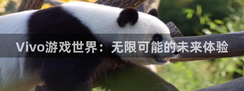 杏运体育：Vivo游戏世界：无限可能的未来体验