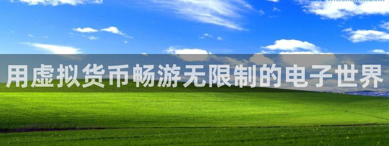 杏运连连：用虚拟货币畅游无限制的电子世界