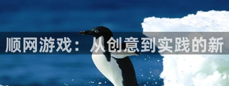 杏运注册平台：顺网游戏：从创意到实践的新