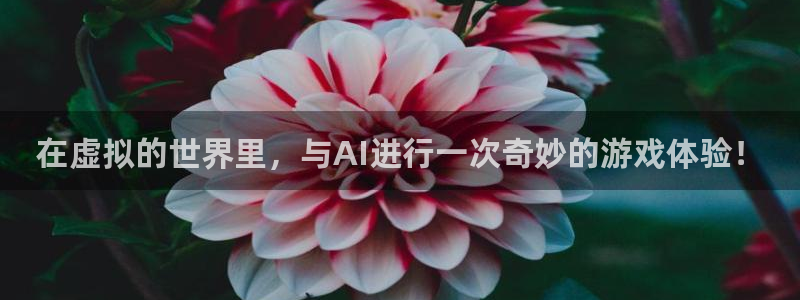 杏运体育官方网址